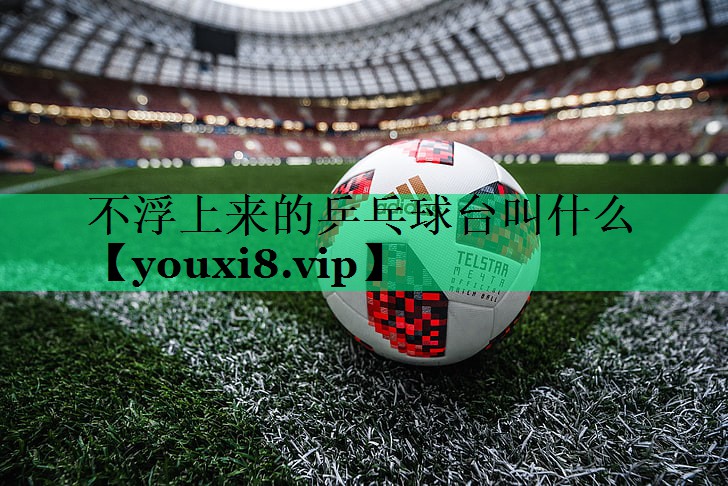 不浮上來的乒乓球臺叫什么