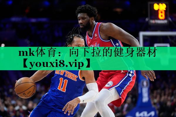 mk體育：向下拉的健身器材