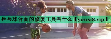 乒乓球臺(tái)面的修復(fù)工具叫什么 乒乓球臺(tái)面的修復(fù)工具叫什么