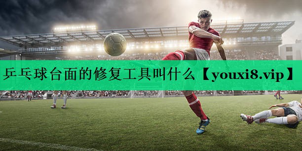 乒乓球臺(tái)面的修復(fù)工具叫什么 乒乓球臺(tái)面的修復(fù)工具叫什么